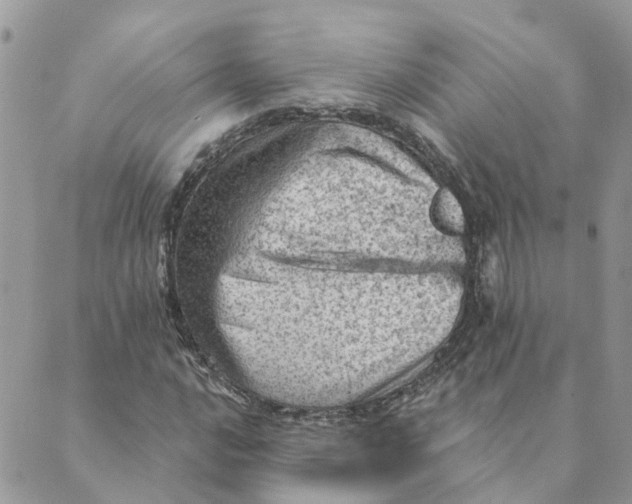 X0000089381016200707061134