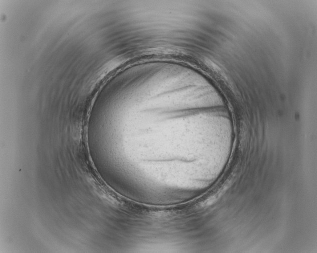 X0000089381017200707061134