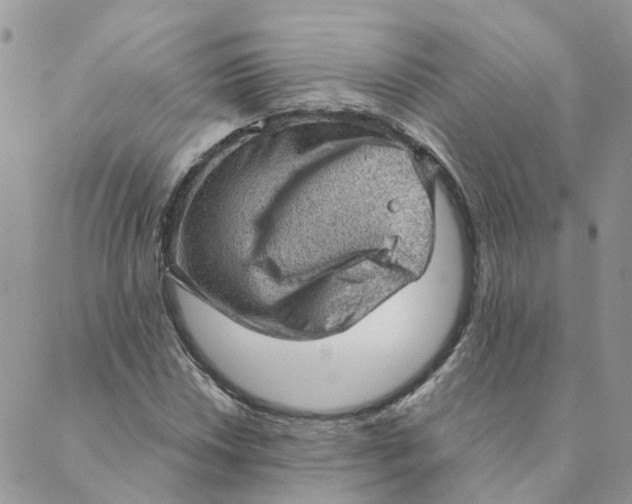 X0000089381018200707061134