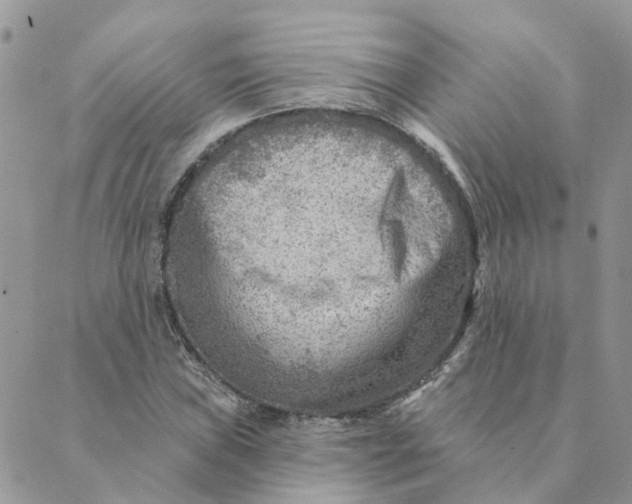 X0000089381019200707061134