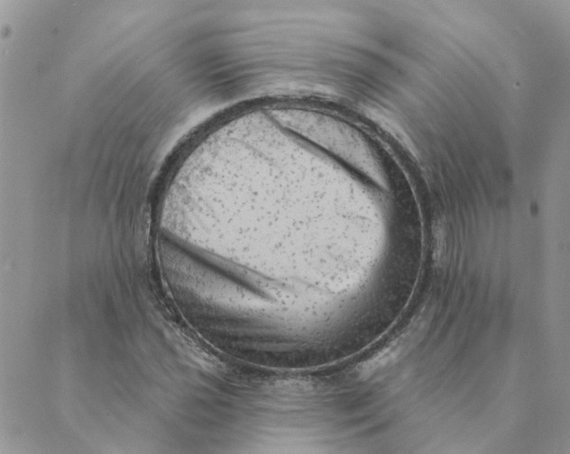 X0000089381021200707061134