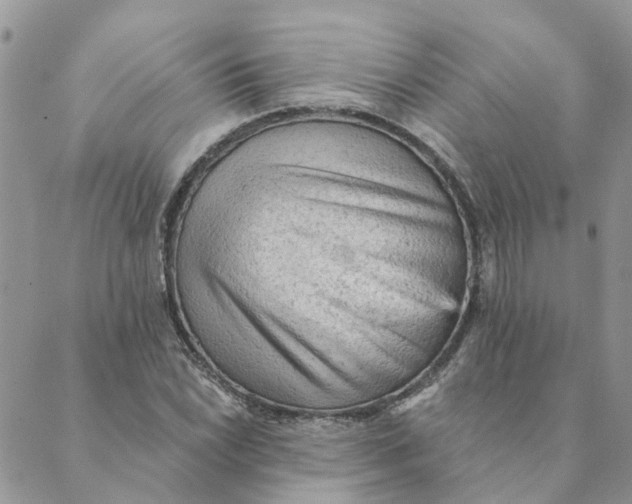 X0000089381022200707061134