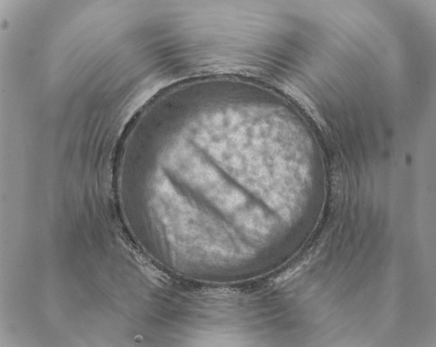 X0000089381023200707061134