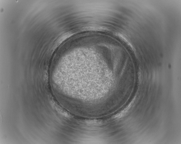 X0000089381025200707061134