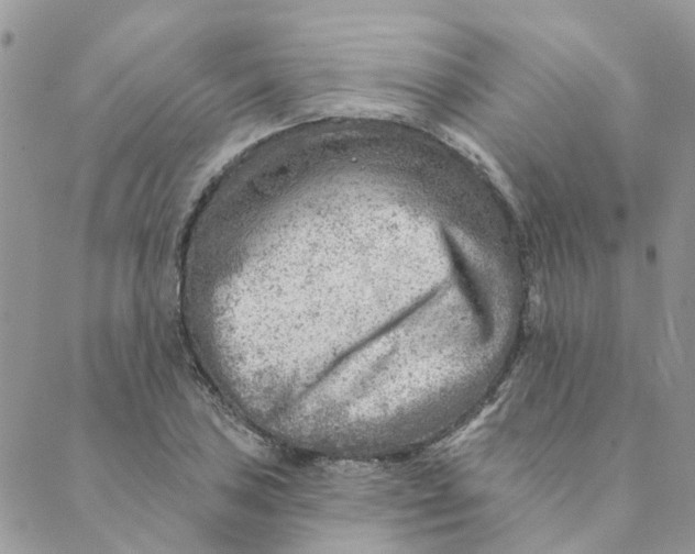 X0000089381027200707061134