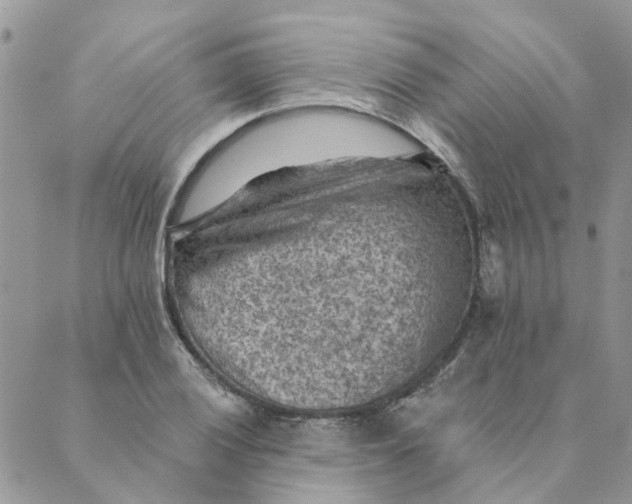 X0000089381028200707061134