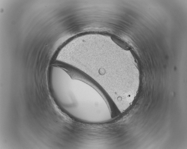 X0000089381030200707061134