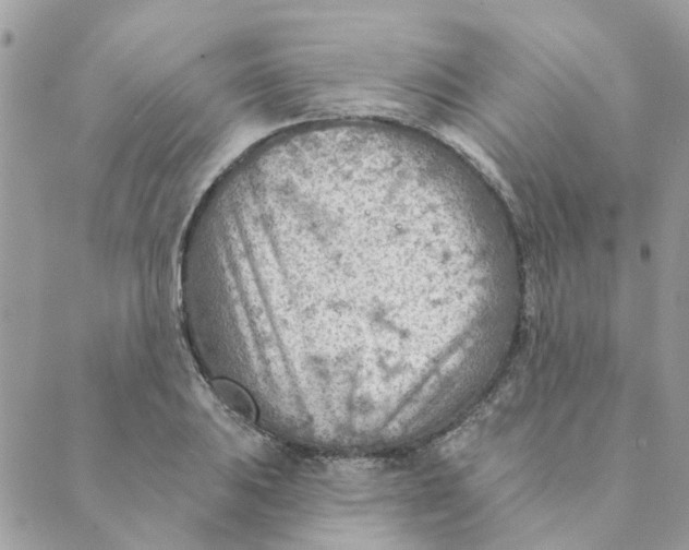 X0000089381031200707061134