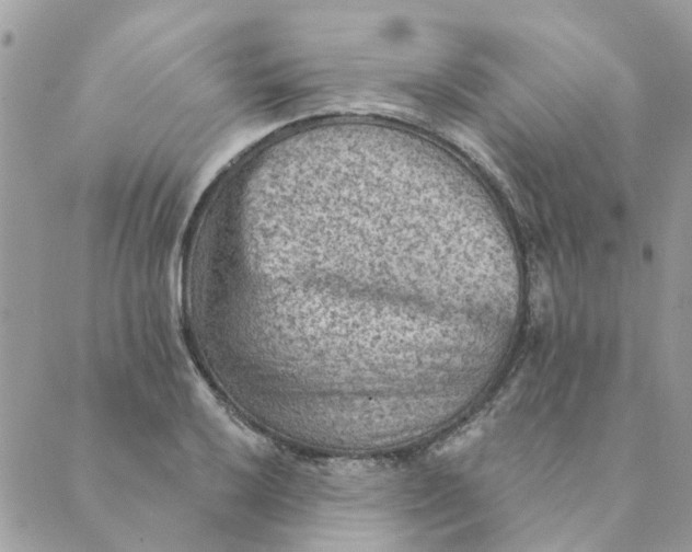 X0000089381032200707061134