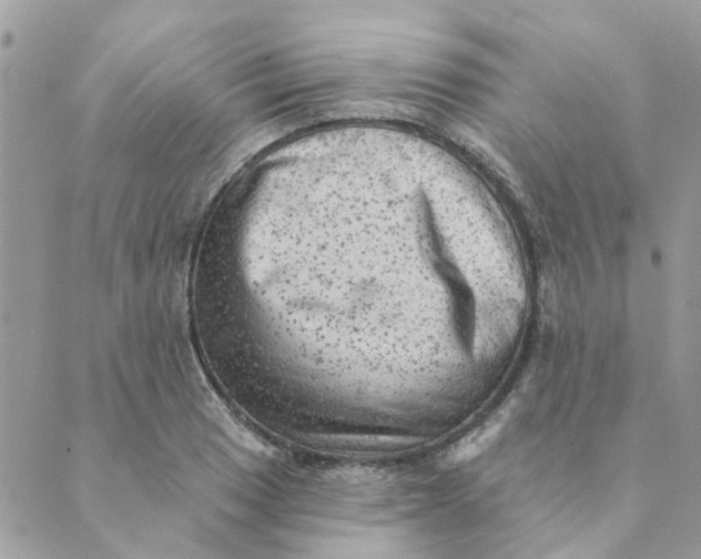 X0000089381033200707061134