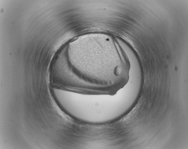 X0000089381034200707061134