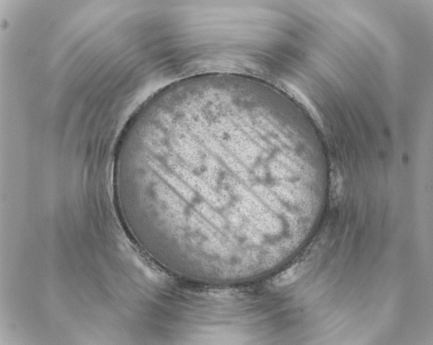 X0000089381035200707061134