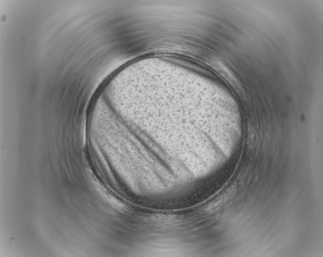 X0000089381036200707061134