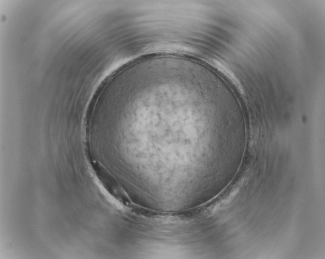 X0000089381037200707061134