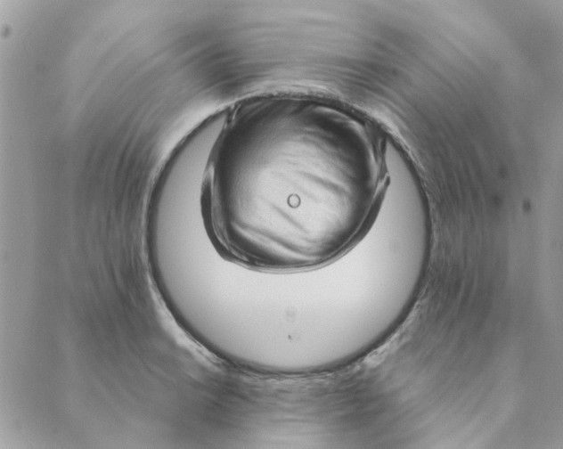 X0000089381038200707061134