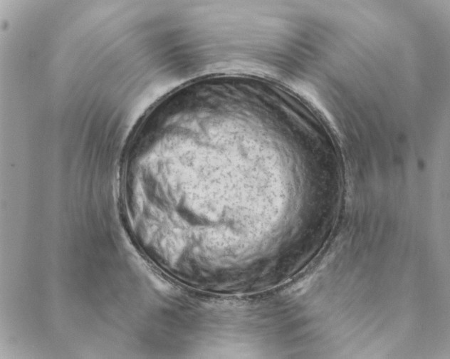 X0000089381040200707061134