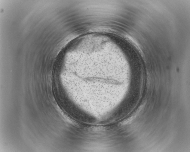 X0000089381041200707061134