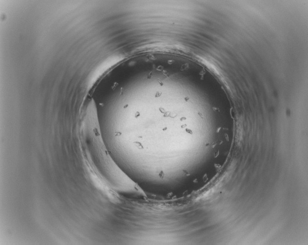 X0000089381042200707061134