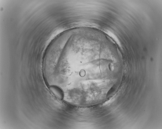 X0000089381043200707061134