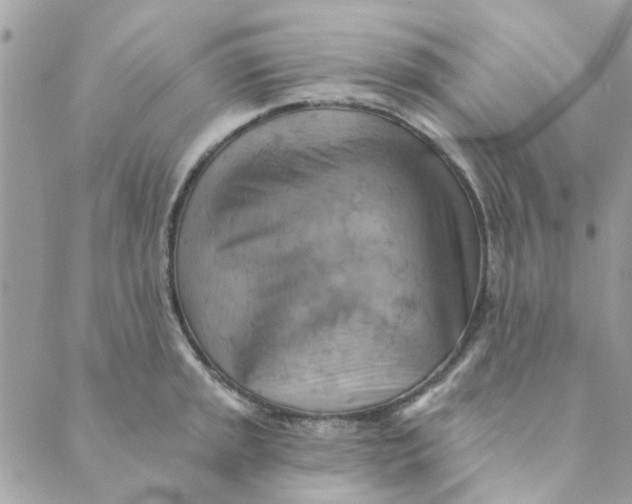 X0000089381045200707061134