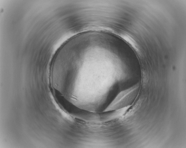 X0000089381046200707061134