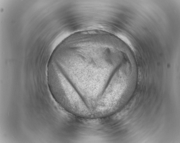 X0000089381047200707061134