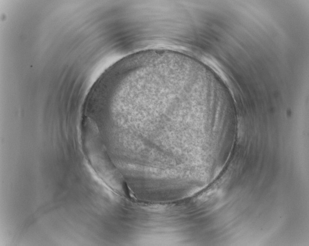 X0000089381048200707061134