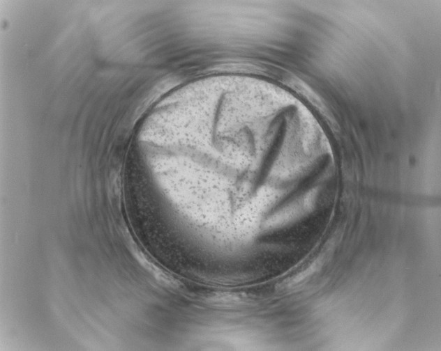 X0000089381049200707061134