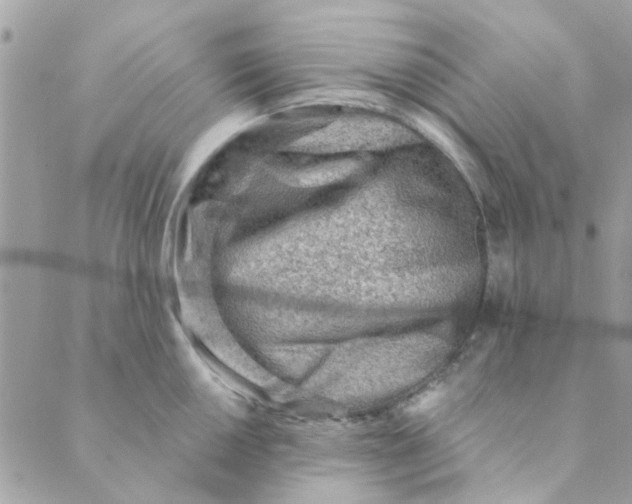 X0000089381050200707061134