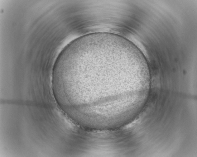 X0000089381051200707061134