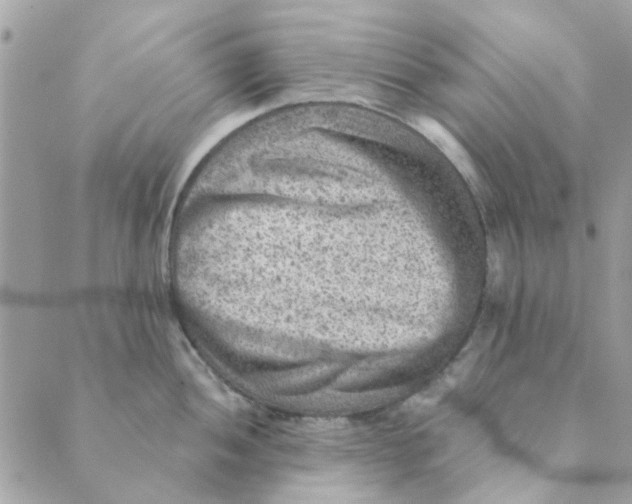 X0000089381052200707061134