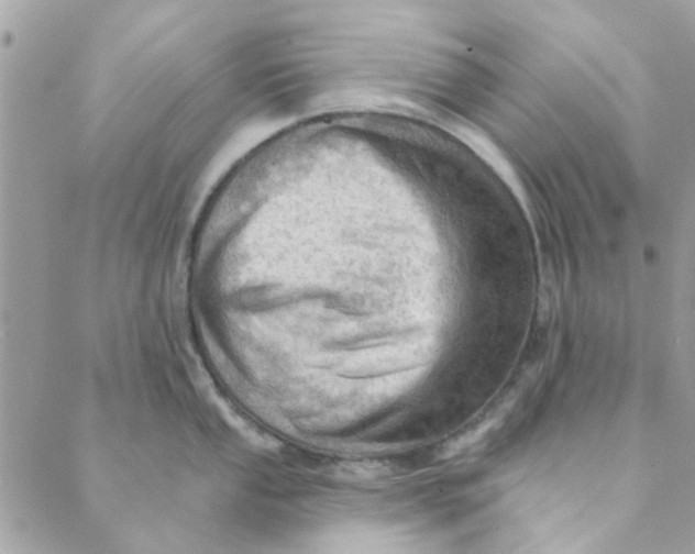 X0000089381053200707061134