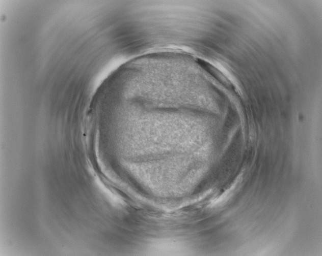 X0000089381054200707061134