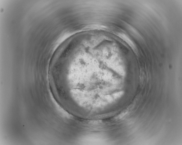 X0000089381055200707061134