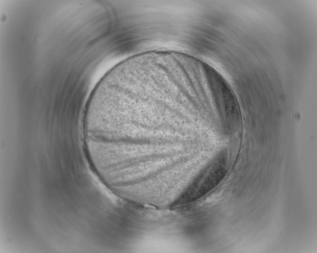 X0000089381056200707061134