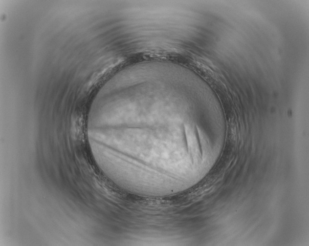 X0000089381060200707061133