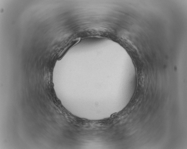 X0000089381061200707061133