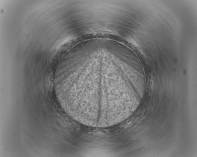 X0000089381063200707061133