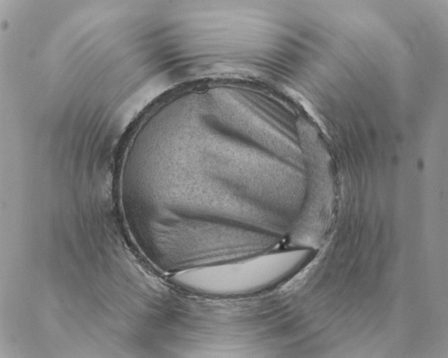 X0000089381066200707061133