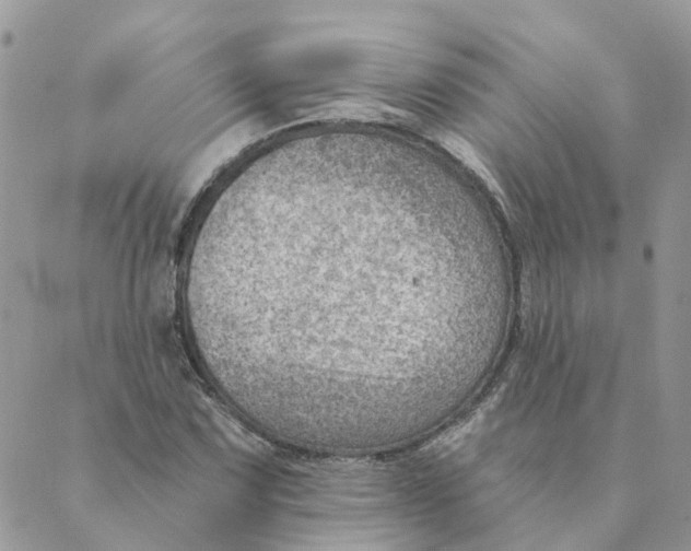 X0000089381067200707061133