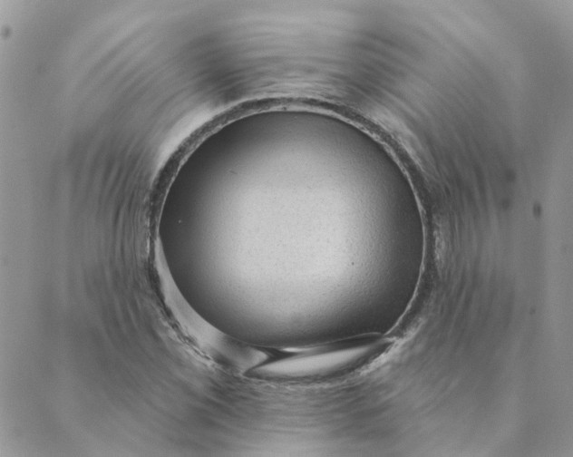 X0000089381069200707061133