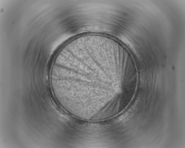 X0000089381070200707061133