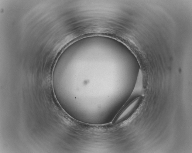 X0000089381073200707061133