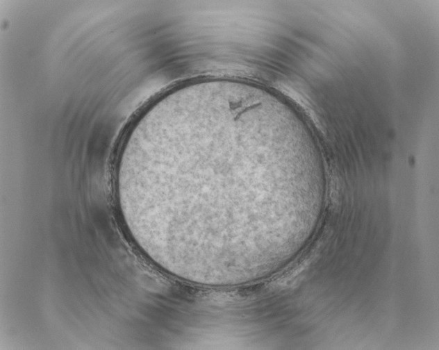 X0000089381074200707061133