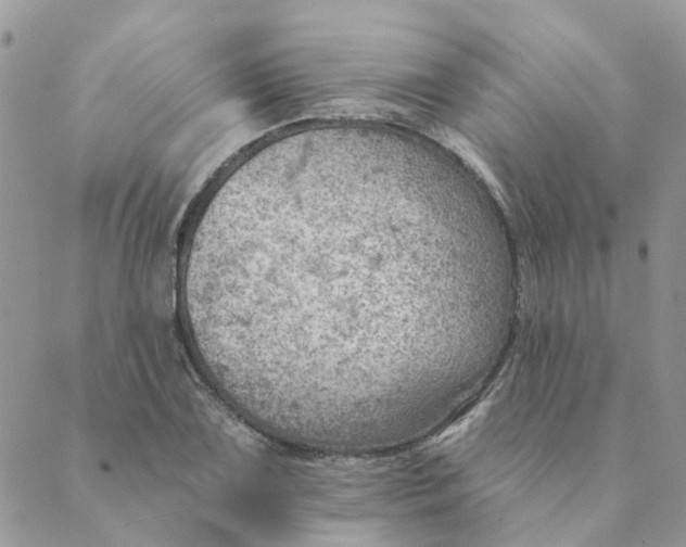 X0000089381075200707061133