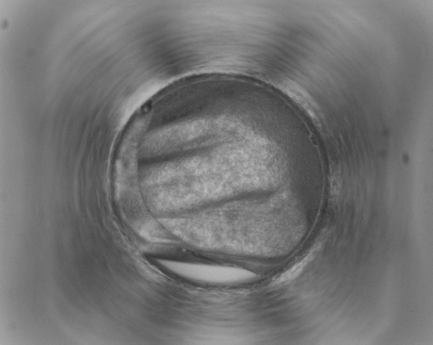 X0000089381077200707061133