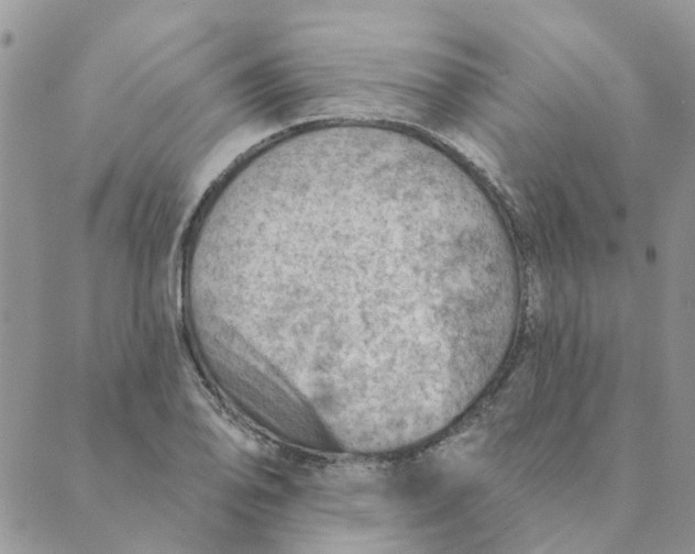 X0000089381078200707061133