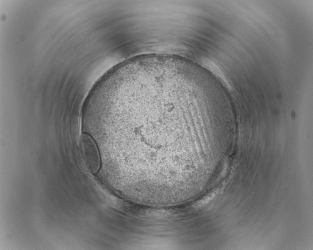 X0000089381079200707061133