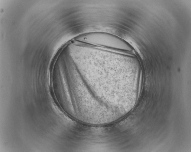 X0000089381080200707061133