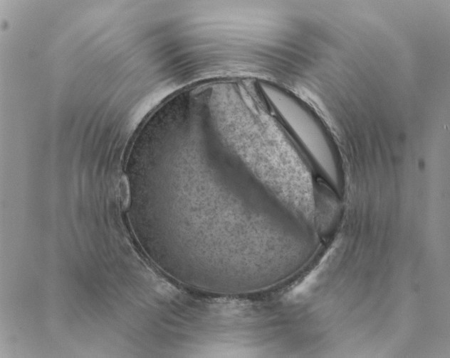 X0000089381081200707061133